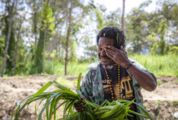 PAPUA-Raja Ampat 2026 (1 group) (48/55)